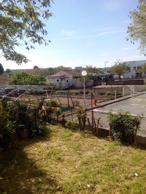 Grand Studio Proche Transport Montpellier Exterior foto
